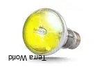 Terrario Banikane Neodymium Light - 50W