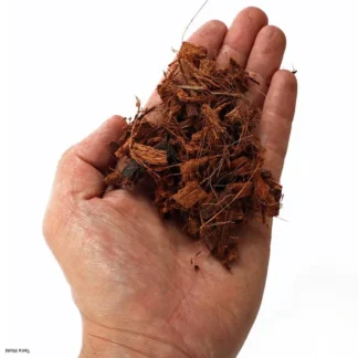 Terrario Madidi Rainforest 5l 500g