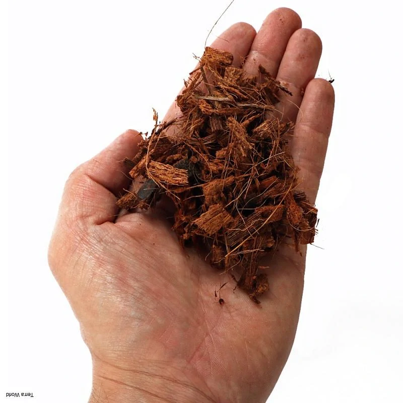 Terrario Madidi Rainforest 5l 500g