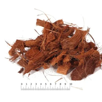 Terrario Mae Moei Rainforest 5l 450g