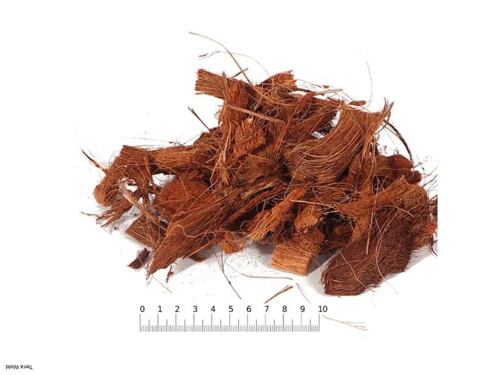 Terrario Mae Moei Rainforest 5l 450g