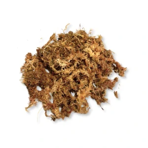 Sphagnum moss 100g