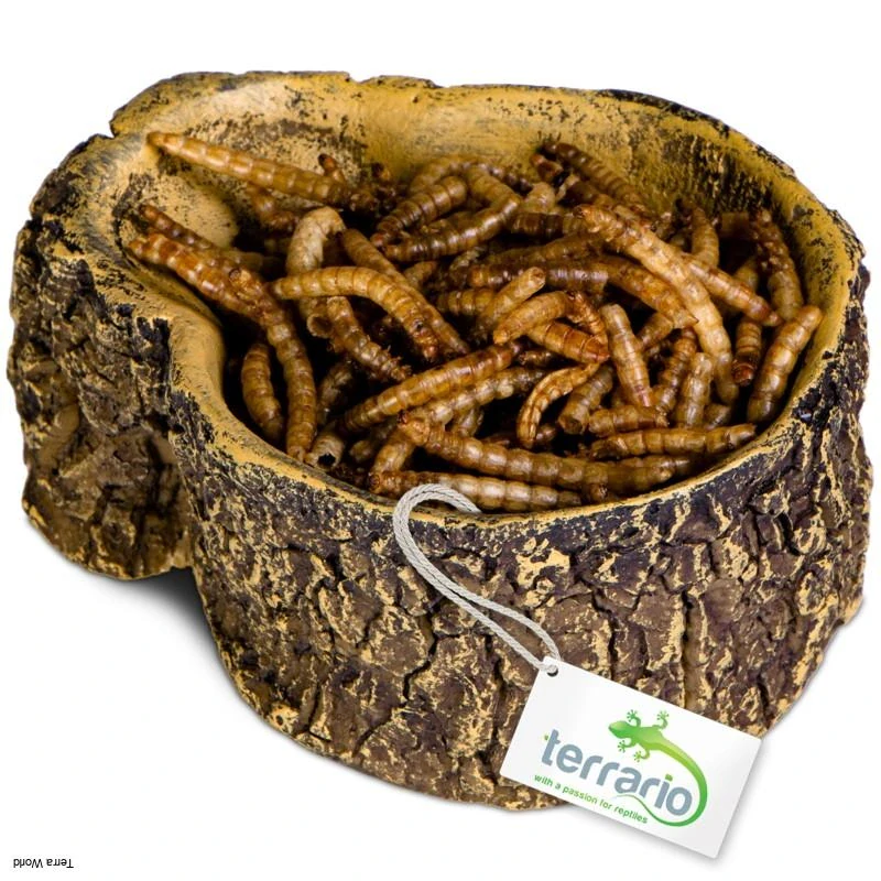 Terrario Bark Bowl – Miska do terária 10x7,5x4 cm – Obrázok 2
