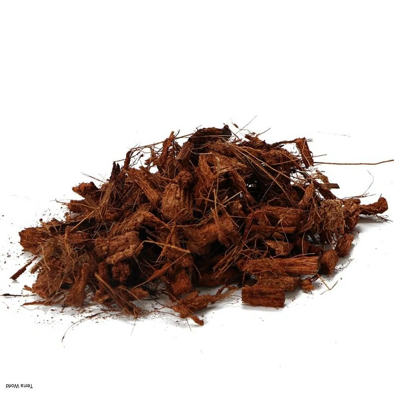 Terrario Madidi Rainforest 5l 500g – Obrázok 6