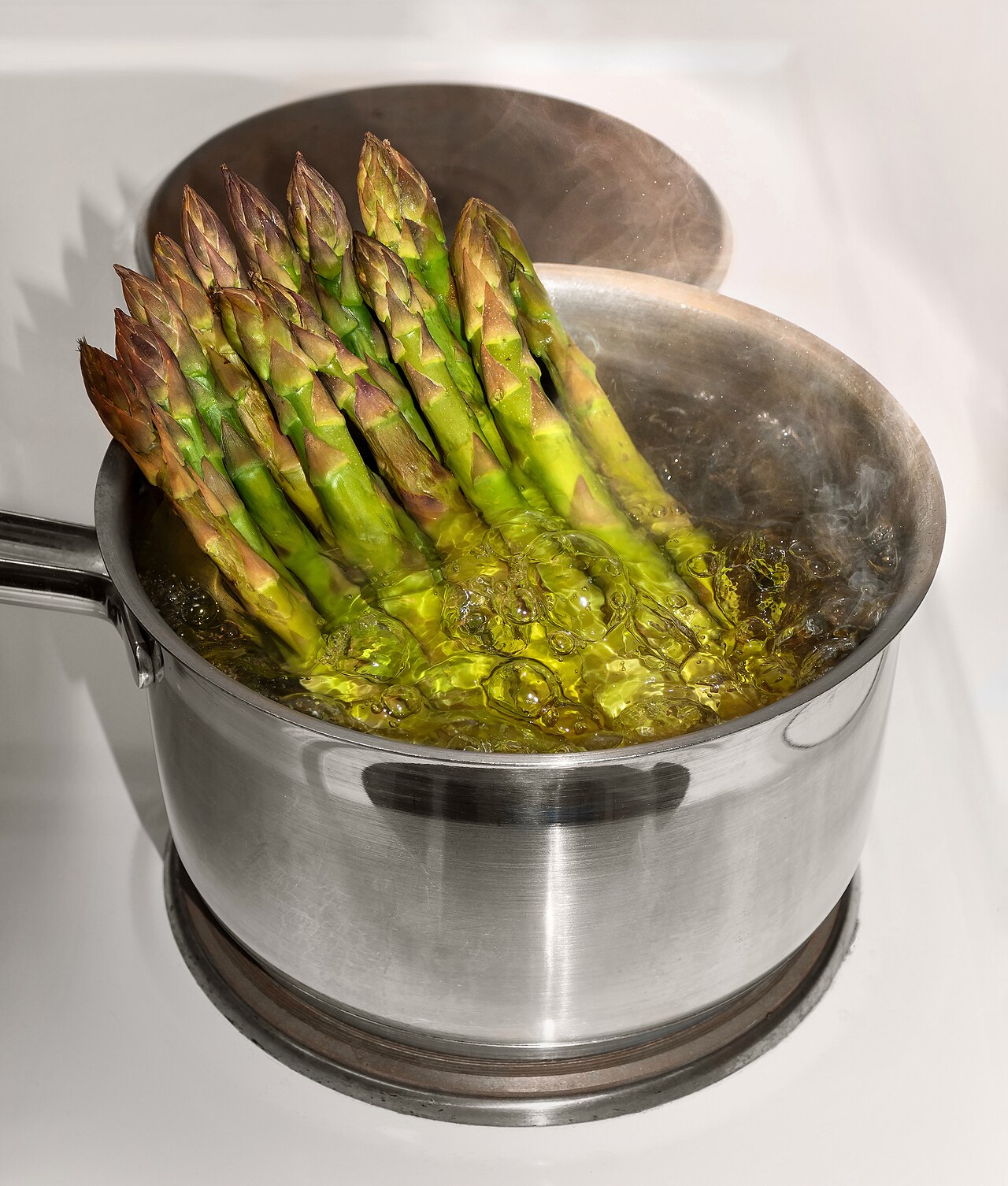 Starostlivosť o Asparagus officinalis na svetlom stanovišti