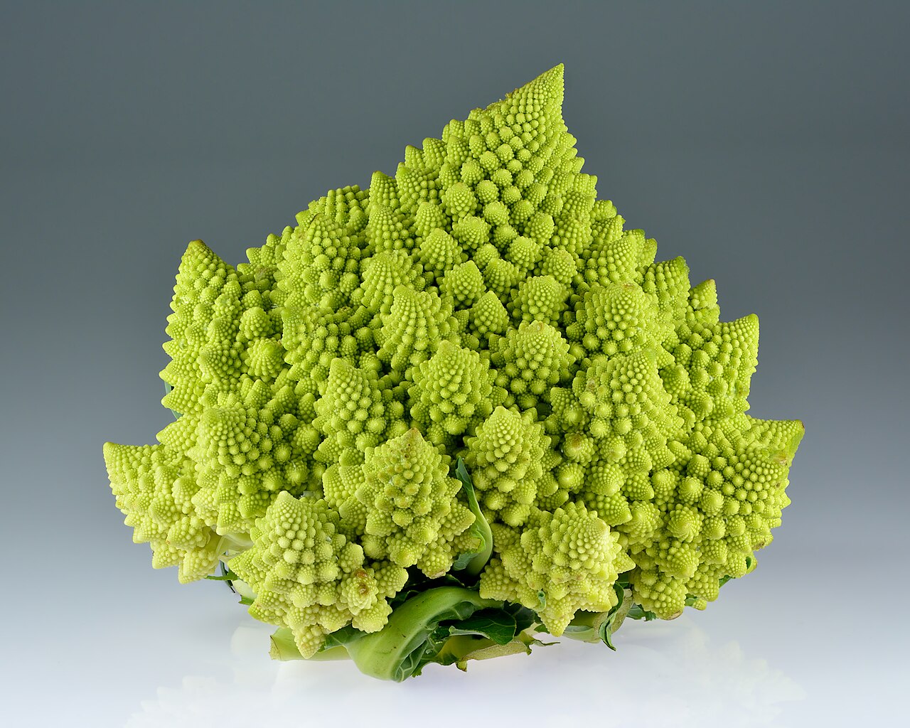 Starostlivosť o Brassica oleracea a detail listov