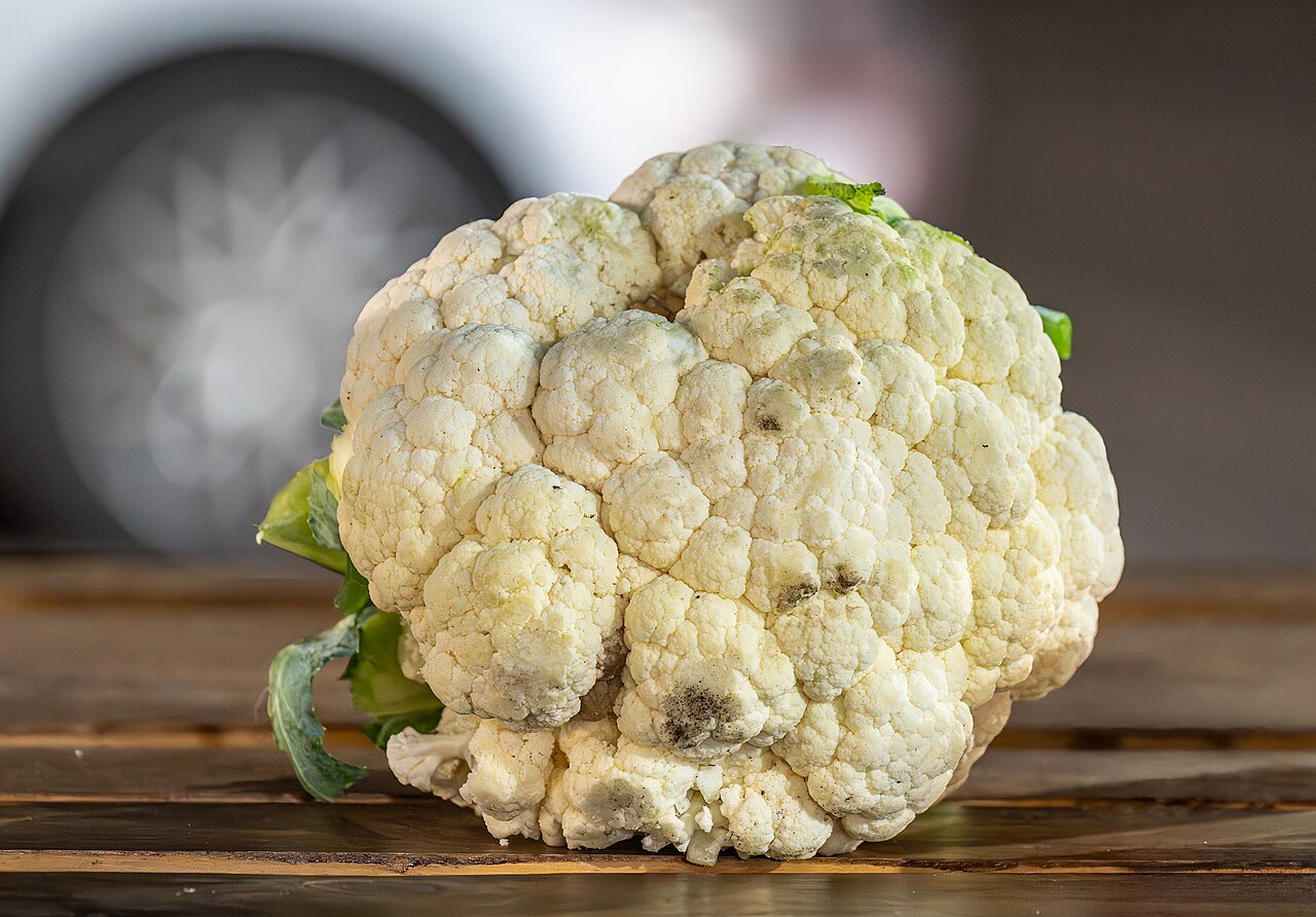 Detail širokých listov Brassica oleracea