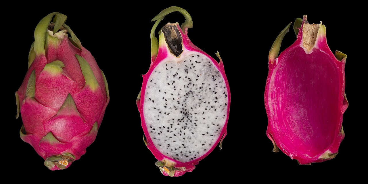 Starostlivosť o Hylocereus undatus v interiéri