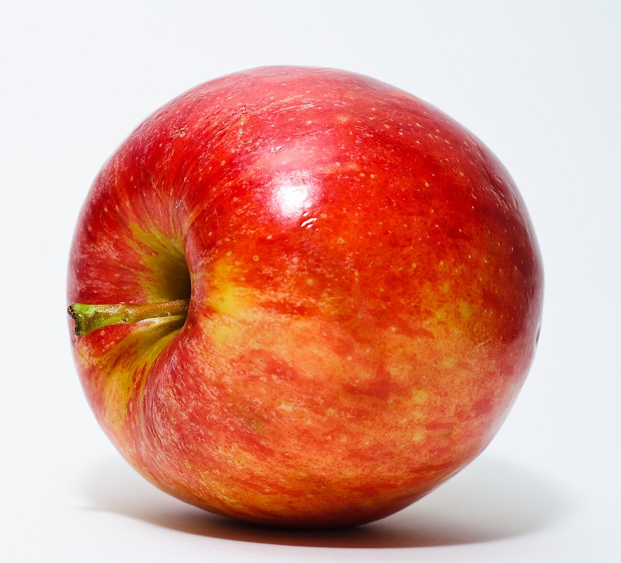 Kvitnúca Malus domestica na jar